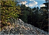 07goloborze