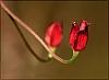 09W