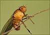 18muchateczowa
